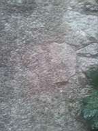castlepark gate - 10870.jpg